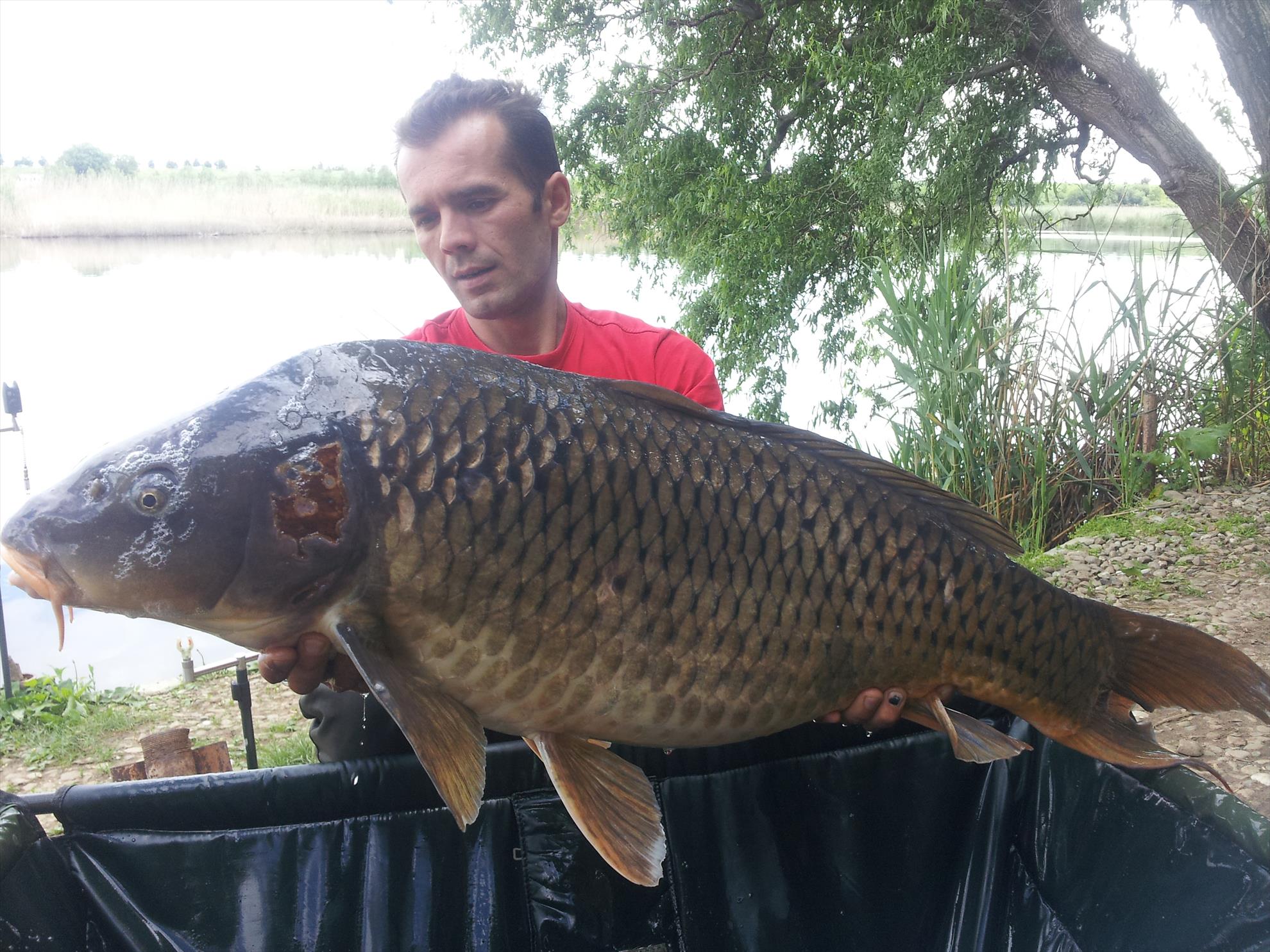 Tancabesti 1 - 4 iunie 2014 - 20150506160349.jpg